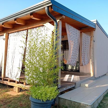 Nature Home Eco-Friendly Pet-Friendly Fazana Luaran gambar