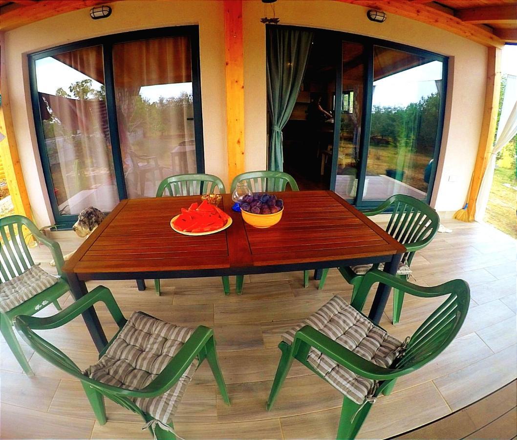 Nature Home Eco-Friendly Pet-Friendly Fazana Luaran gambar